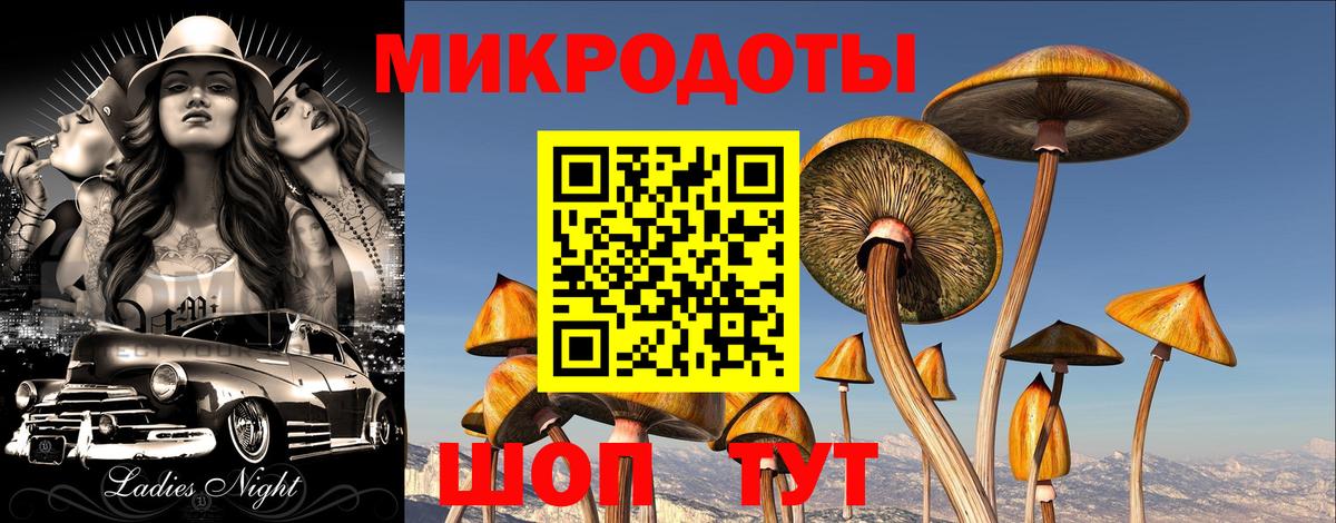 Псилоцибиновые грибы ЛСД  Псилоцибиновые грибы мицелий  Вход с VPN  Городец 