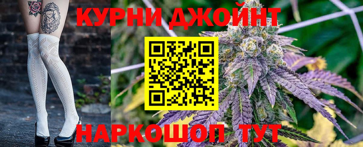 Конопля сатива Городец